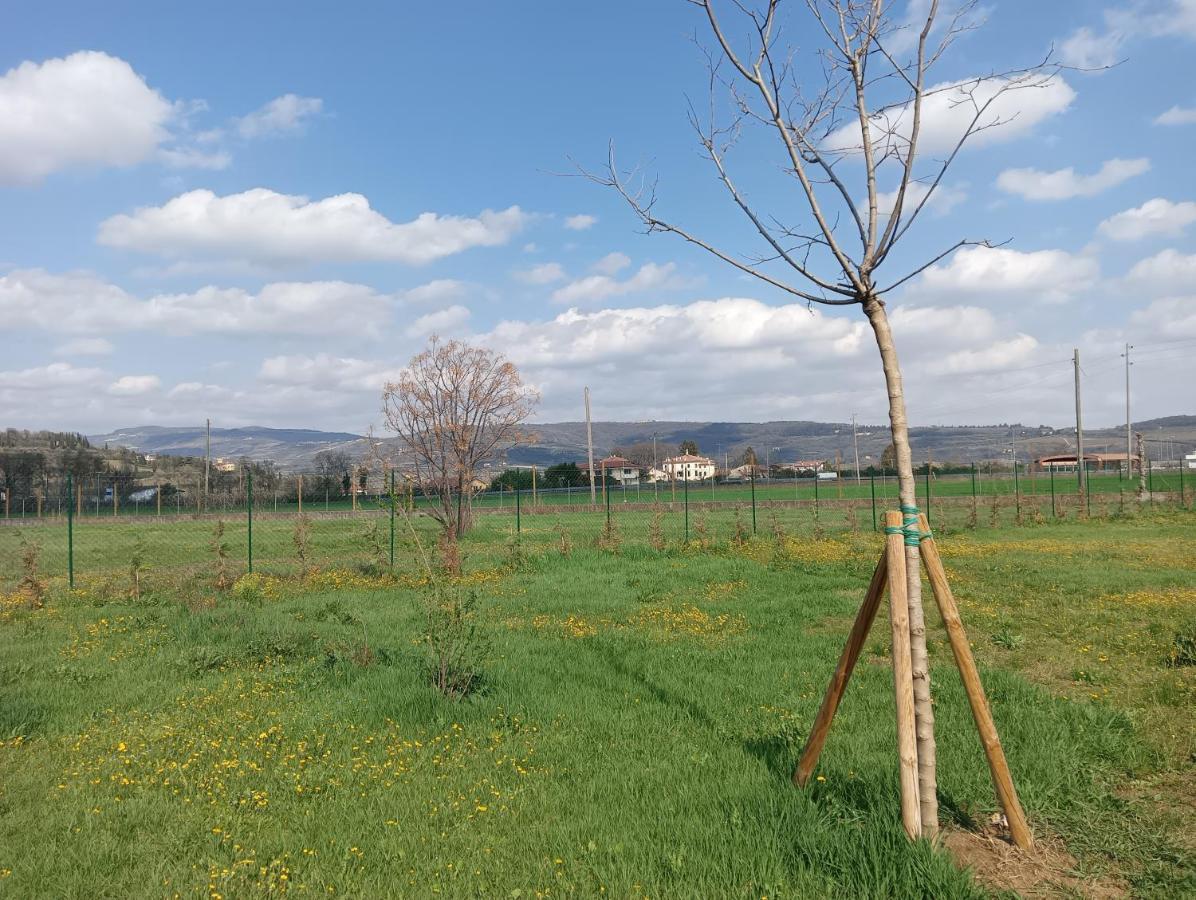 Agricampeggio Oro Verde Verona Exteriér fotografie